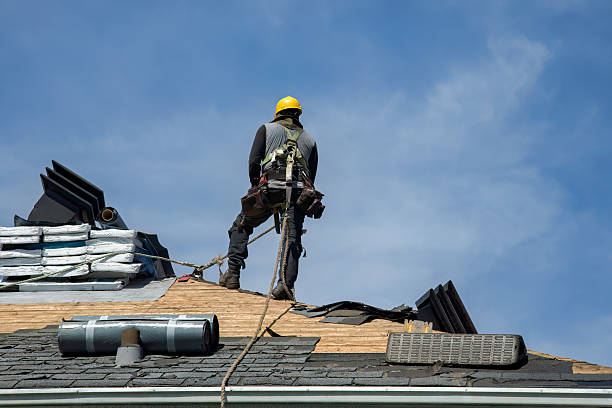 Professional Roofing technician working in Cofield, NC